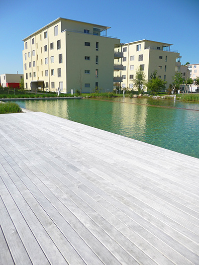 Color Accoya